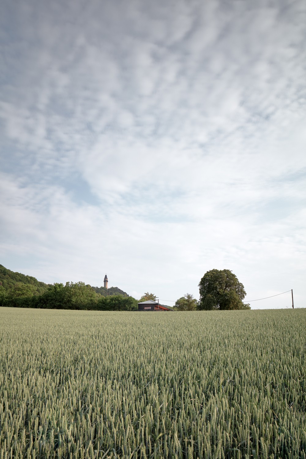 Dům Kaštan, Valarch
