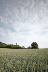 Dům Kaštan, Valarch