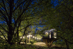 Tree-House DUBoDOM, ateliér StromDom