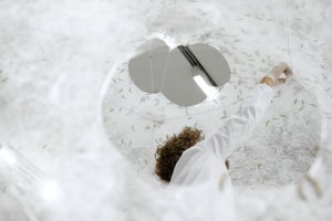 Profesorka Neri Oxman se svým týmem na MIT navrhla Hedvábný pavilon.  Zkoumá zde vztah mezi digitální a biologickou výrobou produktu v architektonickém měřítku. 6500 bourců morušových bylo umístěno na předpřipravenou konstrukci a vytvořilo transparentní pavilon různorodé hustoty.