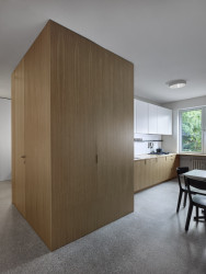 Rekonstrukce bytu a bytového domu Nový Svet, ARCHITEKTI mikulaj & mikulajová - prostoru nyní dominuje dřevěná kostka rafinovaně ukrývající toaletu