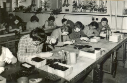 Historické fotografie - montáž svorkovnic (závod Louky)