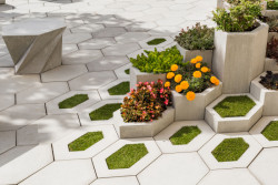 Systém H-E-X, Presbeton - foto