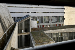 Další corbusierovský element: (mírně zahnědlé) zelené střechy, určené k rozjímání s pohledem na nebe