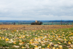 Útulna, Jan Tyrpekl