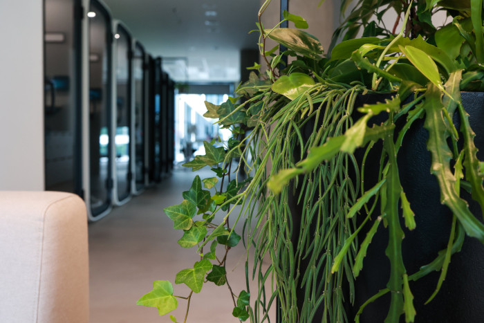 Jungle Raketa od Jungle Interiors