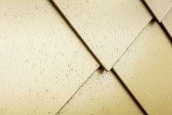 Dům obuvi Schüttfort, Carl Michael Römer