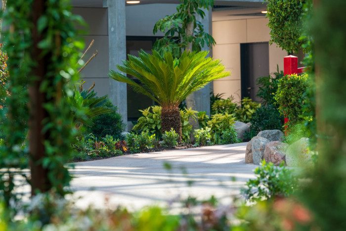 Zelená atria od Jungle Interiors