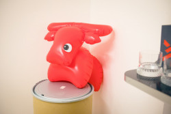 Století designu v českých zemích, Galerie Českých center