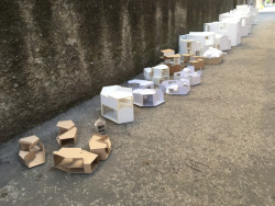 Druhé místo: Rodinný dům Ambrožových v Radíkově, Malý Chmel