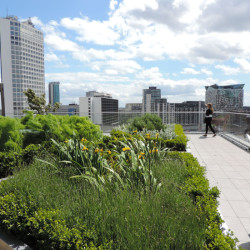 Představujeme modrozelené střechy: účinnou zbraň v boji proti suchu. Zachytí dešťovou vodu na plochých střechách a opětovně ji využijí pro zavlažování zeleně nebo ochlazení mikroklimatu.