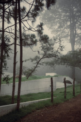 Rodinný dům v Mexiku od HW Studia