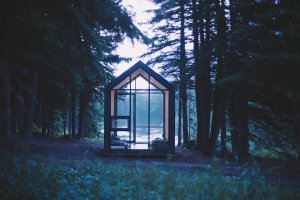 Mono, DROP Structures