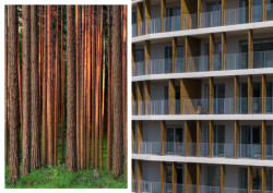 Administrativně-rezidenční komplex Hagibor roste na zanedbaném brownfieldu.