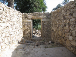 The Dovecote, fotografie z výstavby, AZO Sequeira Arquitectos Associados