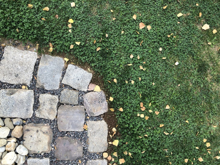 Vejminek, Michael Karnet