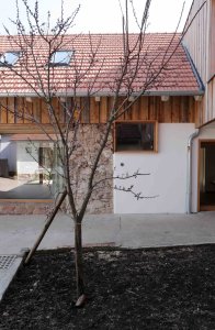 Rekonstrukce hospodářských stavení ve Skaličce od Daniely Hanouskové Boučkové ze studia 2x13