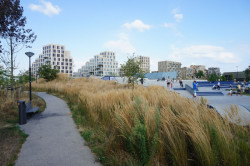 5. prosince proběhne v kině Světozor dvojpřednáška s názvem Ozeleňování měst s amsterdamským krajinářským architektem Tonem Mullerem a tuzemským krajinářským architektem Štěpánem Špoulou.