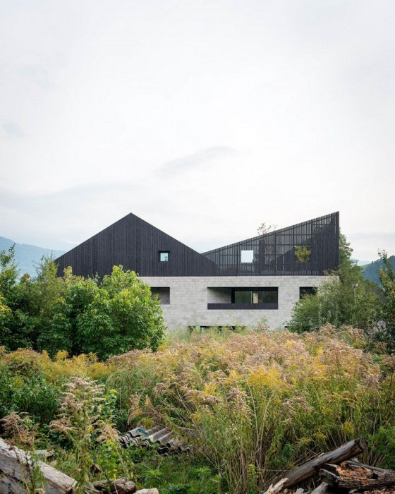 Twin house, bergmeisterwolf architekten,