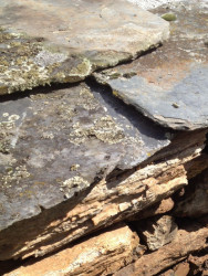 Cubus, A’Bodega, použité materiály - foto