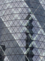 Okurka a spol. - foto