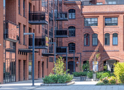 Veřejné prostory jsou doplněny travinami, keři, květinami a nízkými stromy, převážně místními druhy. Celkově tvoří zelené plochy téměř 40 % areálu. (SRDK Studio, Vratislavské pivovary)