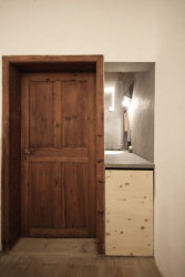 music for the forest,