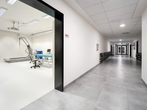Učebna ergoterapie na Fakultě zdravotnických studií Univerzity Jana Evangelisty Purkyně
