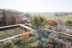 Obytný projekt 79&PARK ve Stockholmu, studio BIG