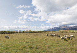 Hotel AKA Patagonia v Chile od studia Larrou