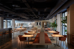 Restaurace, místo pro kuchařské umění v odstínu sieny pálené (Alma, 
Neuhäusl Hunal)