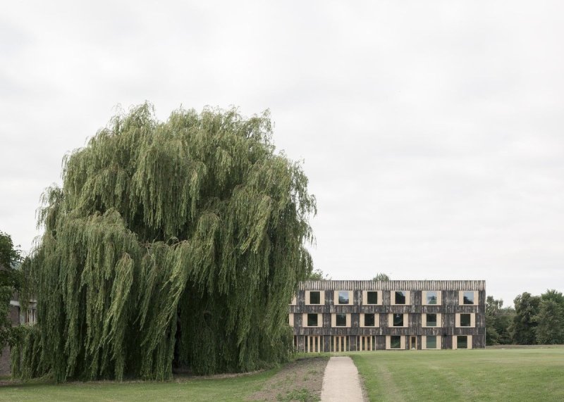Studentské koleje Cowan Court, Cambridge, 6a architects