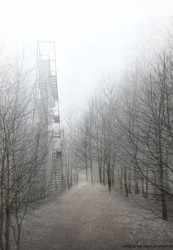 Márius Žitňanský, Vladimír Šimkovič, Peter Gonda, Ľubica Dubeňová a Jana Fečkaninová, Vyhliadková veža na Dubni // odměna bez určení pořadí – foto