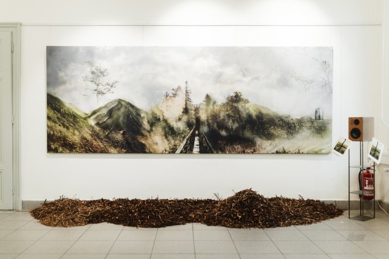 Architektka Blanka Solár vystavuje v Galerii Mini na brněnské Fakultě architektury expozici Hřbitov bez hrobů; pietní biocentrum?