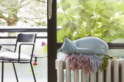 Resting cat, design: Front