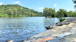 V pražských Holešovicích vznikl nový park podle návrhu architektů z krajinářského studia YYYY.