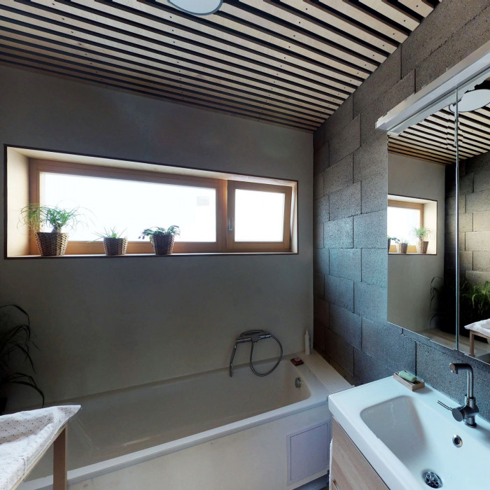 Dům se světlíkem, Atelier 11