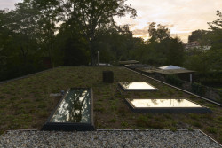 Dům v Drážďanech od architekta Martina Boden-Peroche