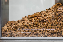 Soutěž o nejlepší výlohu vyhrála hravá instalace hory skořápek od designérek Adély Kadlčákové a Marie Sixtové.