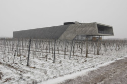 Weingut Preisinger, Rakousko – foto