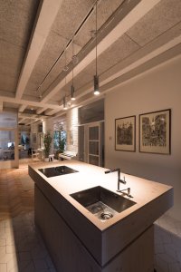 Rekonstrukce přízemního bytu, What architects