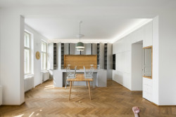 Rekonstrukce vinohradského bytu, No Architects,