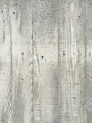 Dom Hora, Archholiks.