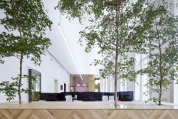 Nové kanceláře společnosti AON v neobarokní budově u Václavského náměstí v Praze navrhli architekti z PROGRESS ATELIER