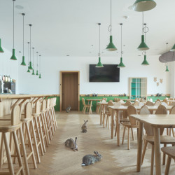 „V názvu i oficiálním znaku obce je vyobrazen zajíc, a tak jsme se rozhodli zasvětit interiér právě tomuto veselému tvorovi,“ komentuje architektonický koncept jeho autor. (Lidový dům Zaječov, IO Studio)