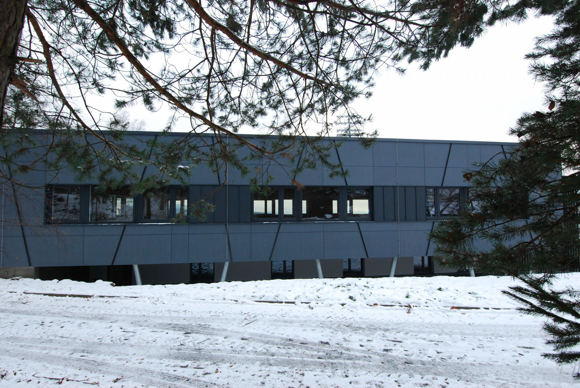 Uniarch - Judo aréna