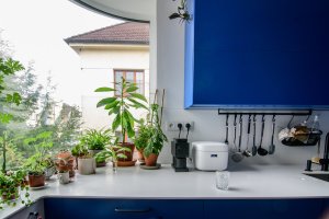 Rodinný dům s knihovnou v Českých Budějovicích od studia +arch