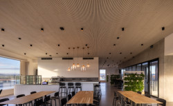 BudexHub - firemní bistro s obkladem z akustických panelů NOVATOP