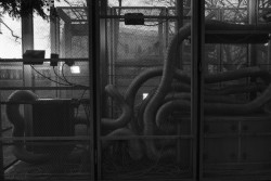 5866, Petr Stolín, Jan Stolín,