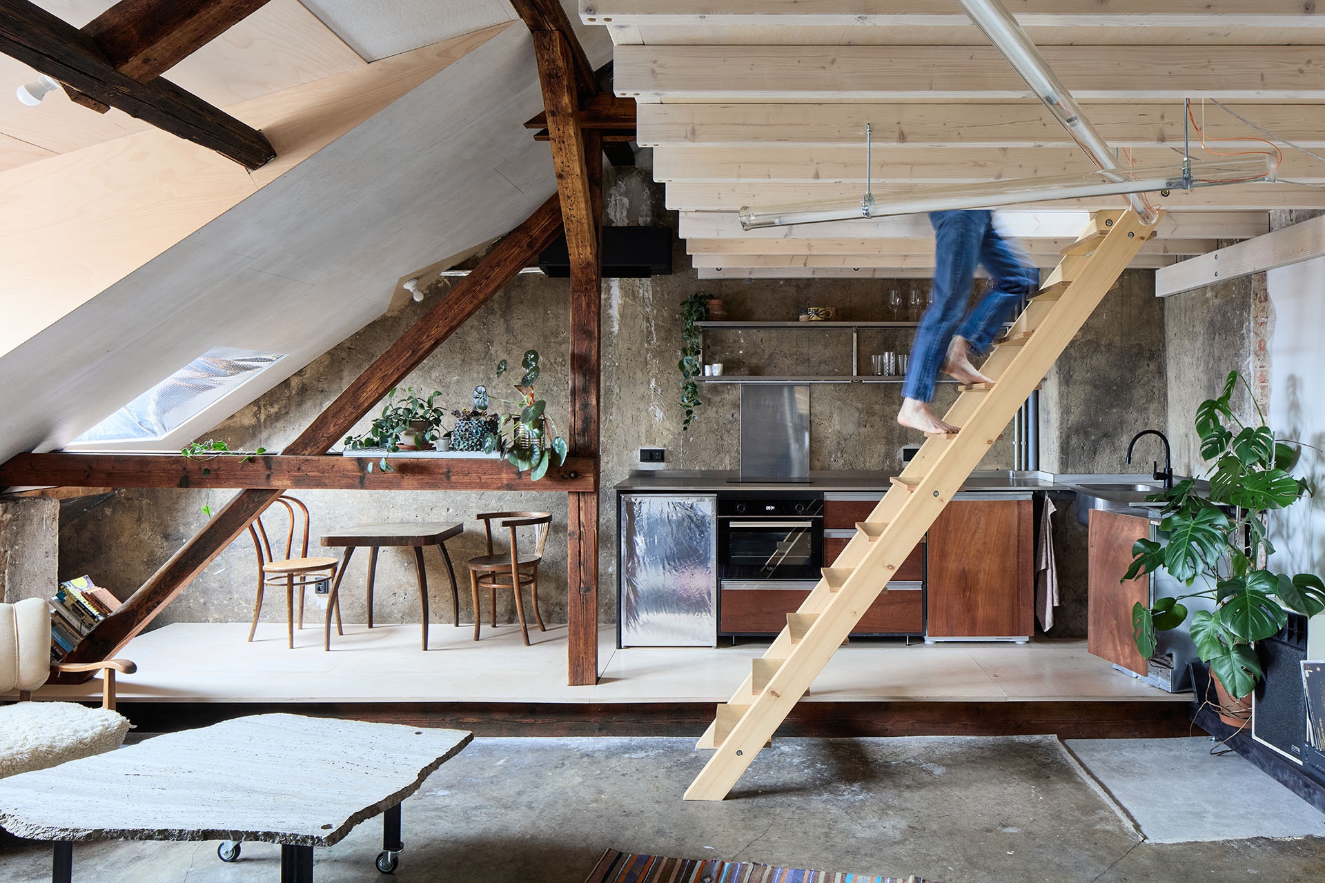 Rekonstrukce podkroví od studií totalbrutal a svobodová blaha